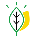 vegan vegan